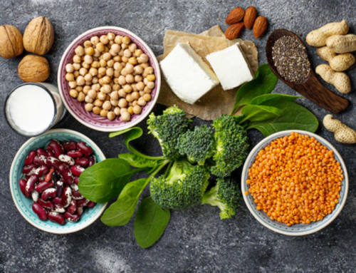 Top 7  fontes de proteína vegetal